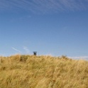 2009-09-dinard-OK (19)